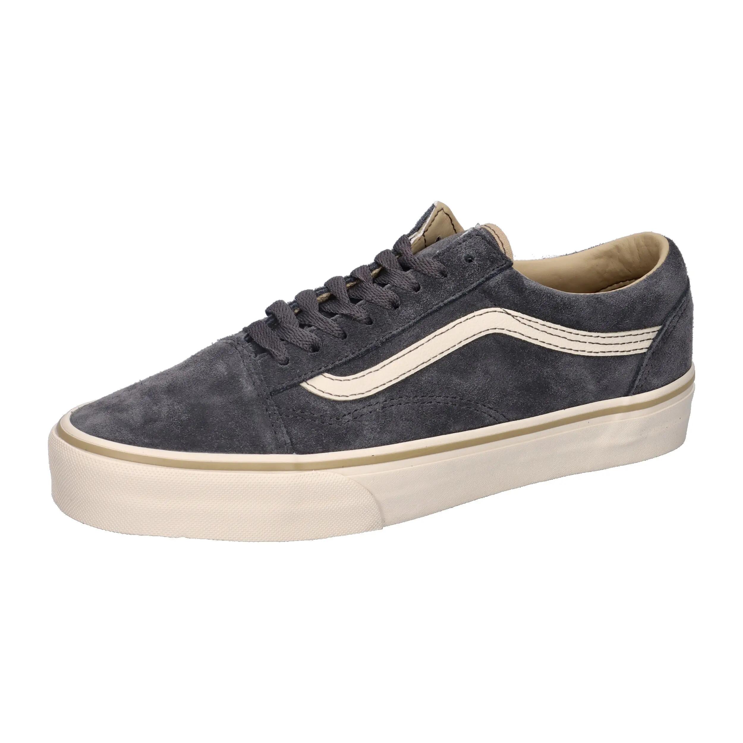VANS picture