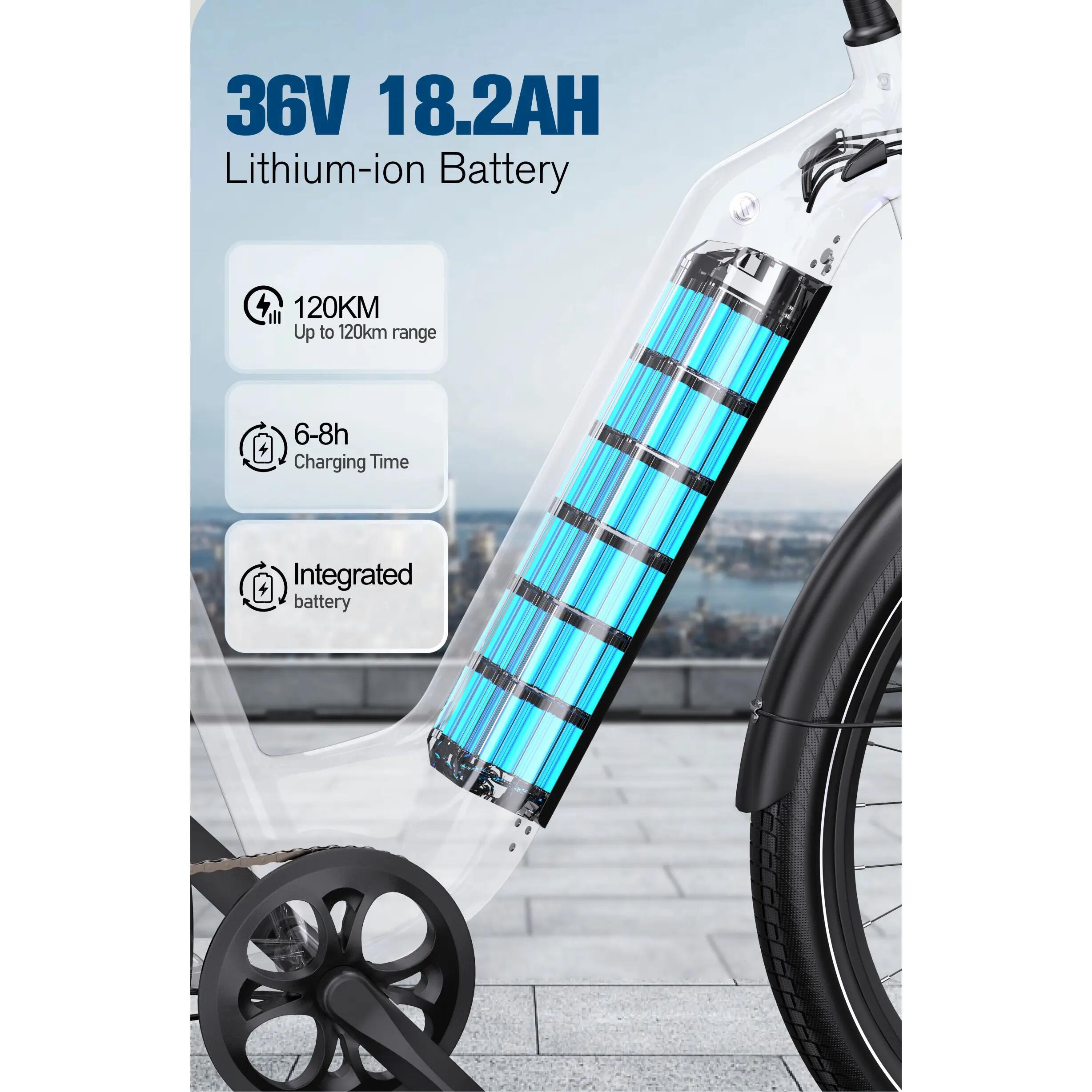 ONESPORT WT05, 36V, 250W, Bluetooth, APP, hydraulické brzdy, nízky rám,120kg 12/14