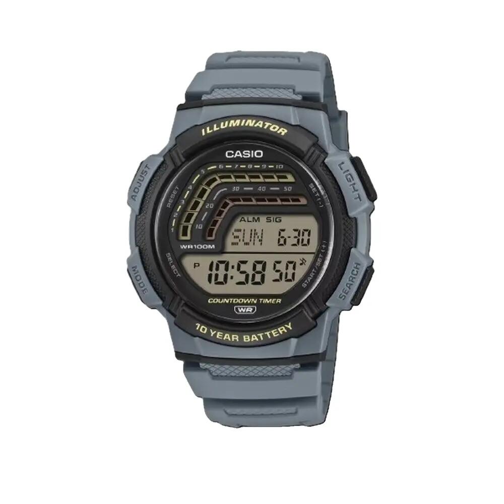 CASIO picture