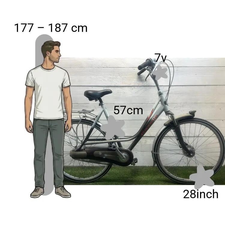 Bicicletta usata Gazelle Cadiz 2/4