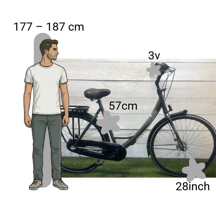 Gebraucht Giant Urban 2/4