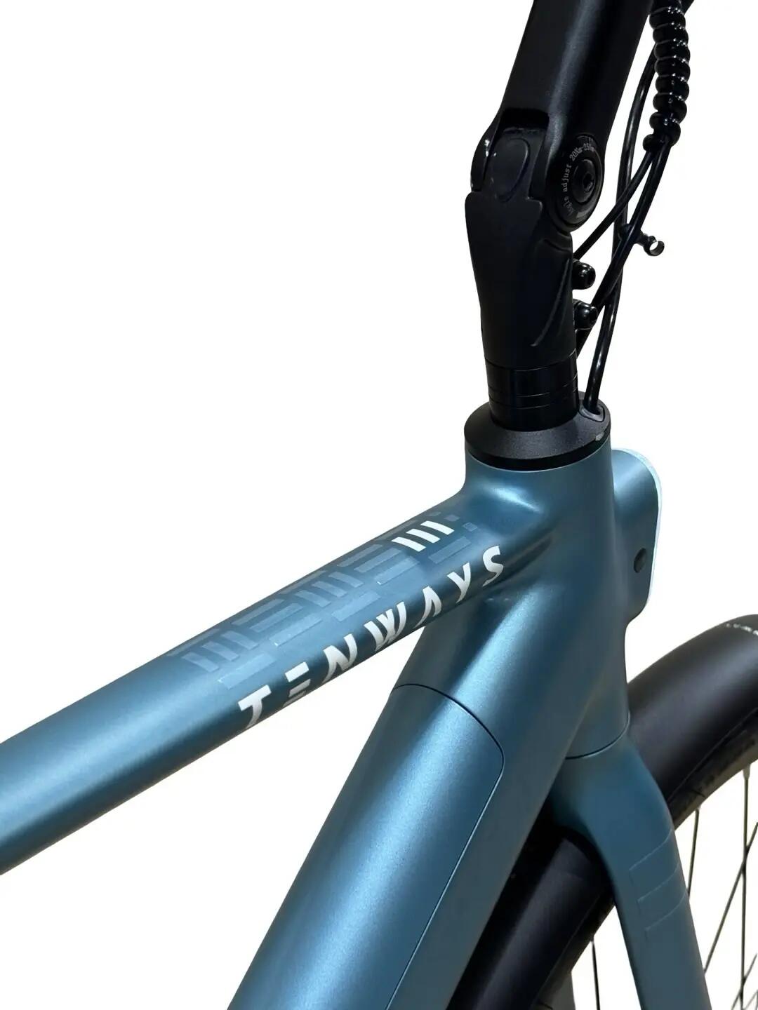 Refurbished - E-Bike Tenways CGO600 PRO Single-Speed - Wie neu 8/12