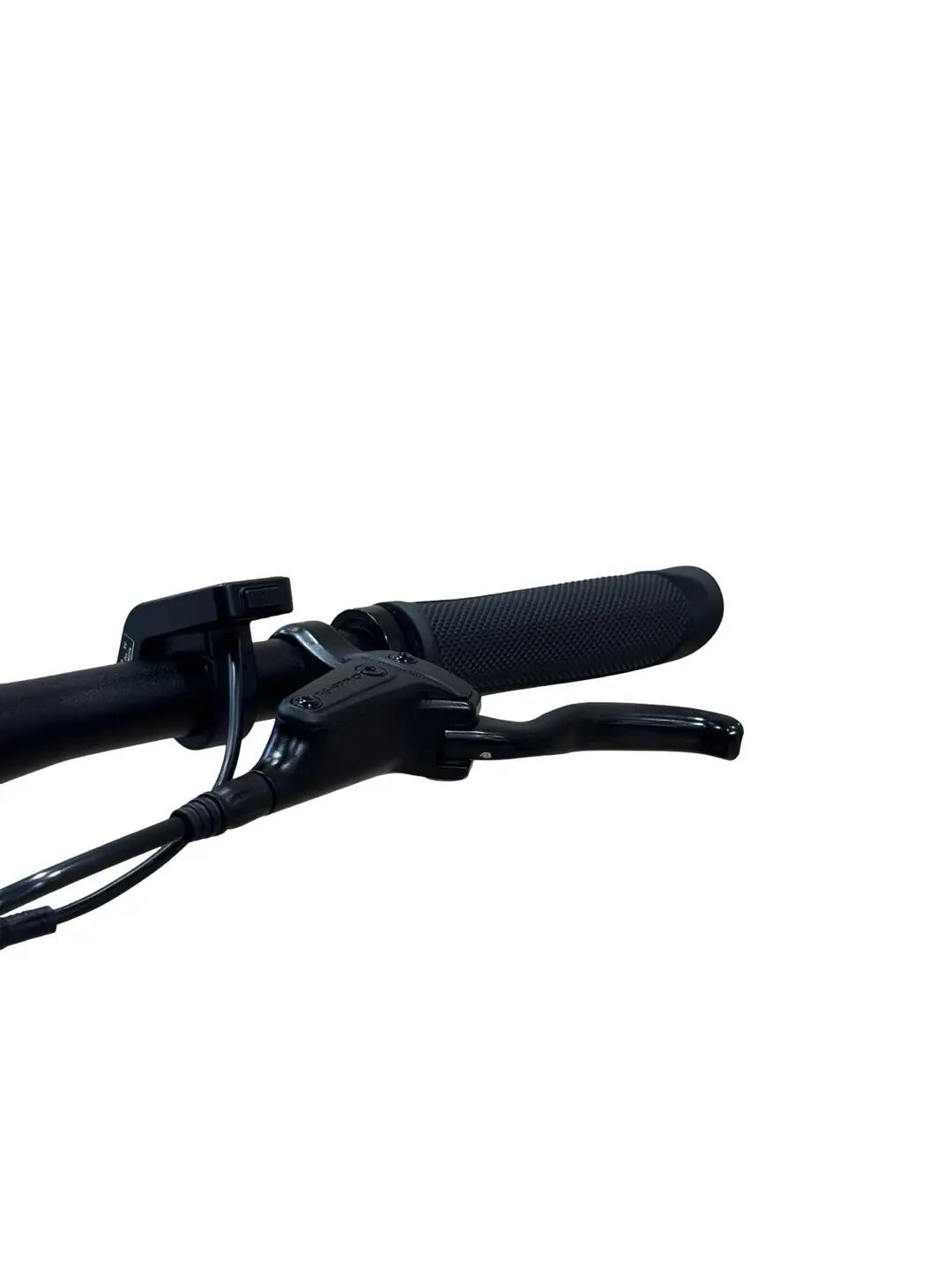 Refurbished - E-Bike Tenways CGO600 PRO Single-Speed - Wie neu 6/12