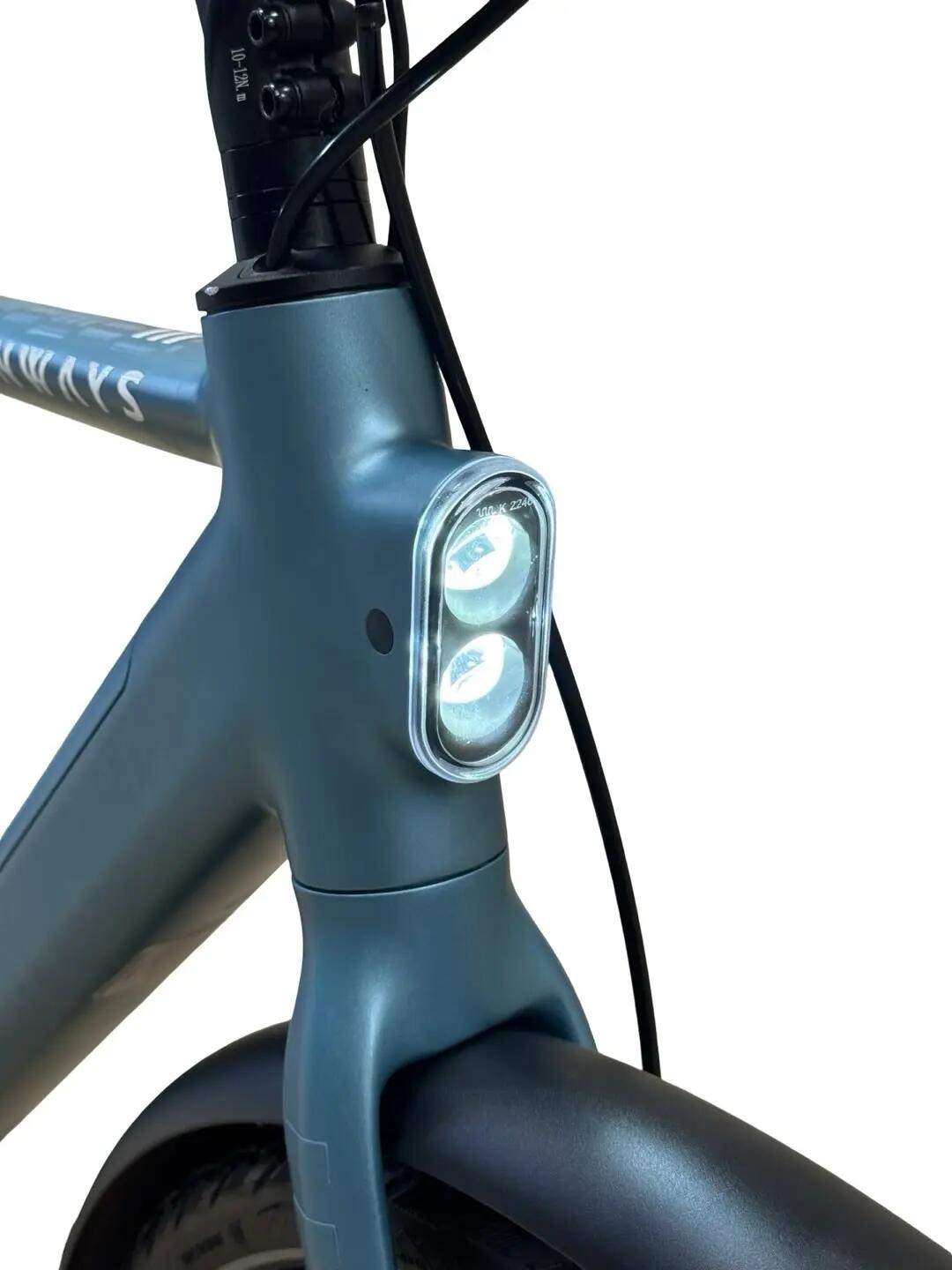 Refurbished - E-Bike Tenways CGO600 PRO Single-Speed - Wie neu 4/12