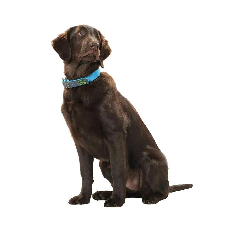Collar para cão Hunter Convenience Turquesa 2/3