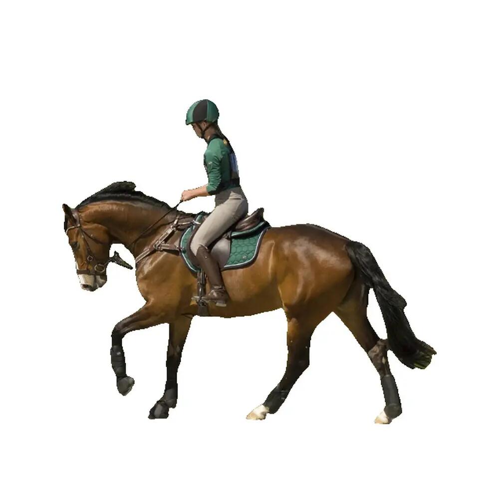 Sattelunterlage für Pferde QHP Eldorado 2/4
