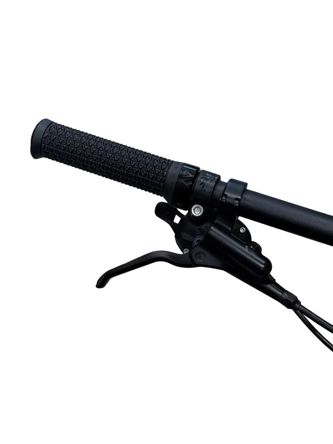 Segunda Vida - Bicicleta E-montaña Corratec E-Power RS 160 Elite - Como nuevo 5/13