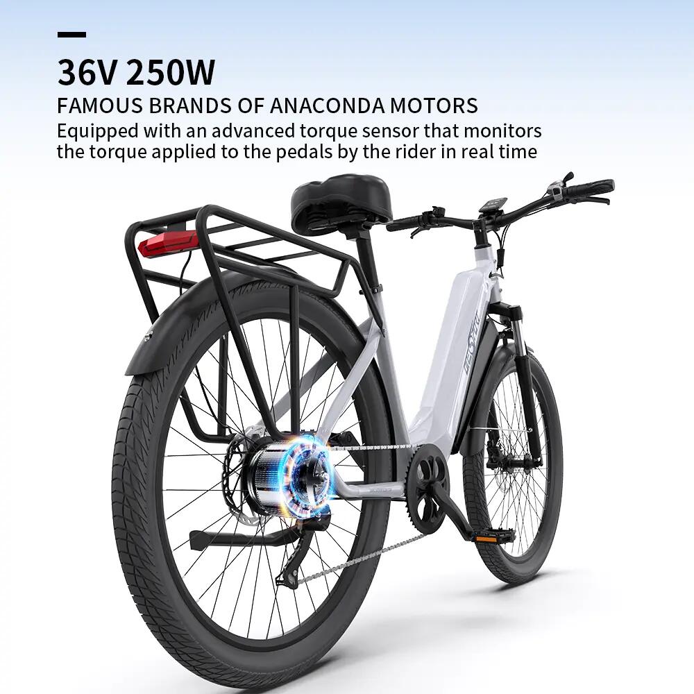 ONESPORT OT05, 250W, 36V, 18.2Ah, 27,5 palcov, hliníková zliatina, 25km/h ,120kg 8/15