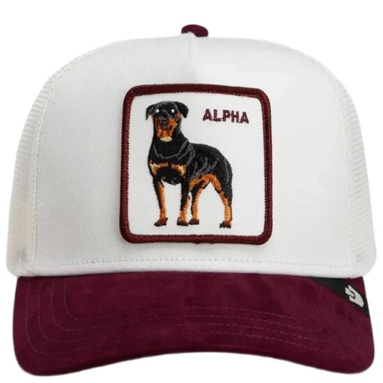 Casquette Goorin Bros Suede Alpha Adulte