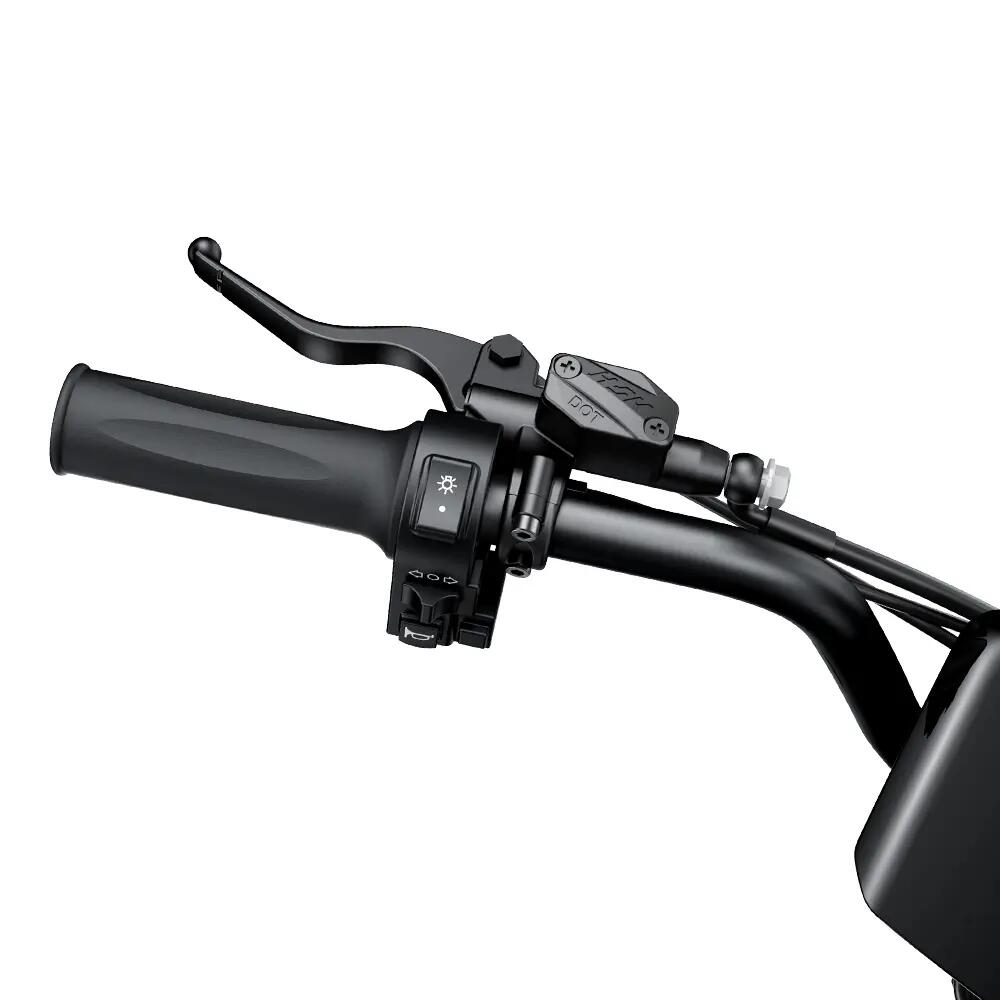 Elektrický terénny bicykel iSCOOTER DX5Max 52V 20Ah 150kg 100km 17 palcov hydrau 5/8