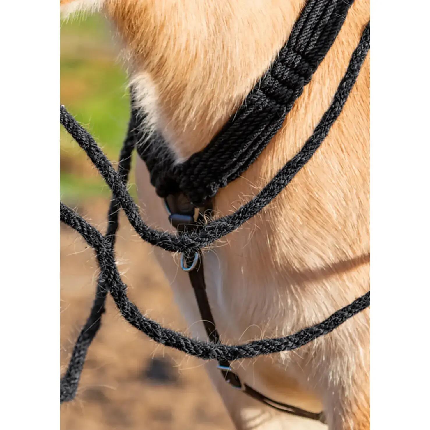 EDIX SADDLES picture