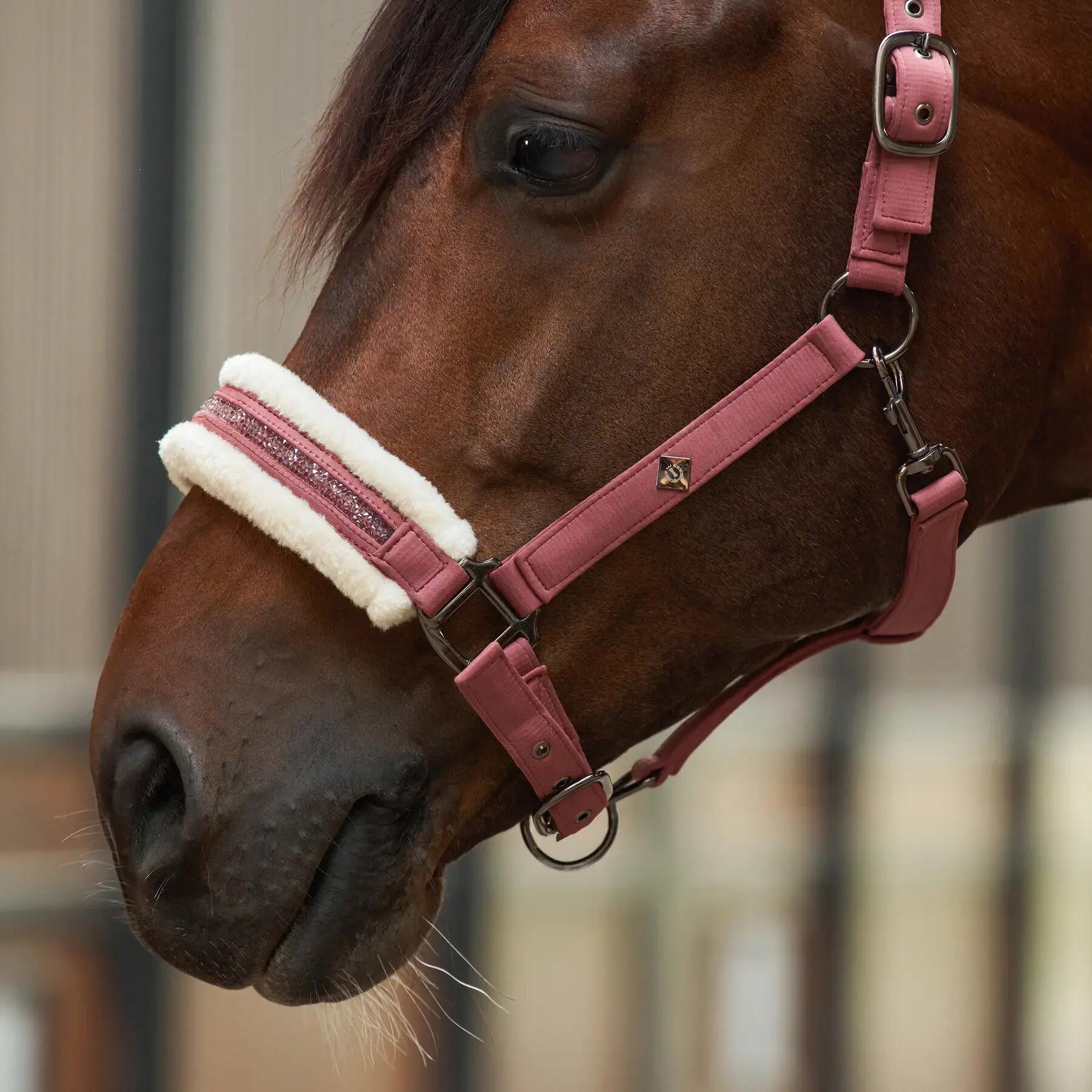 Imperial Riding Halster IRHJewel - Mauve (Cob) 4/4