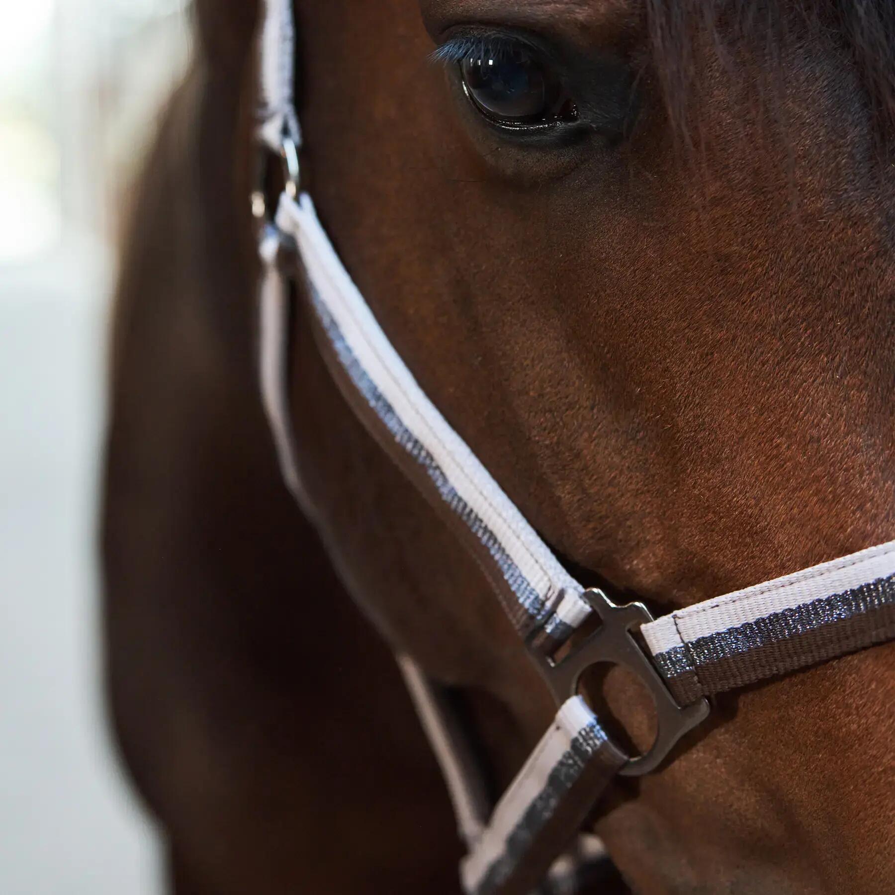 Licol pour cheval Imperial Riding Economic 3/3