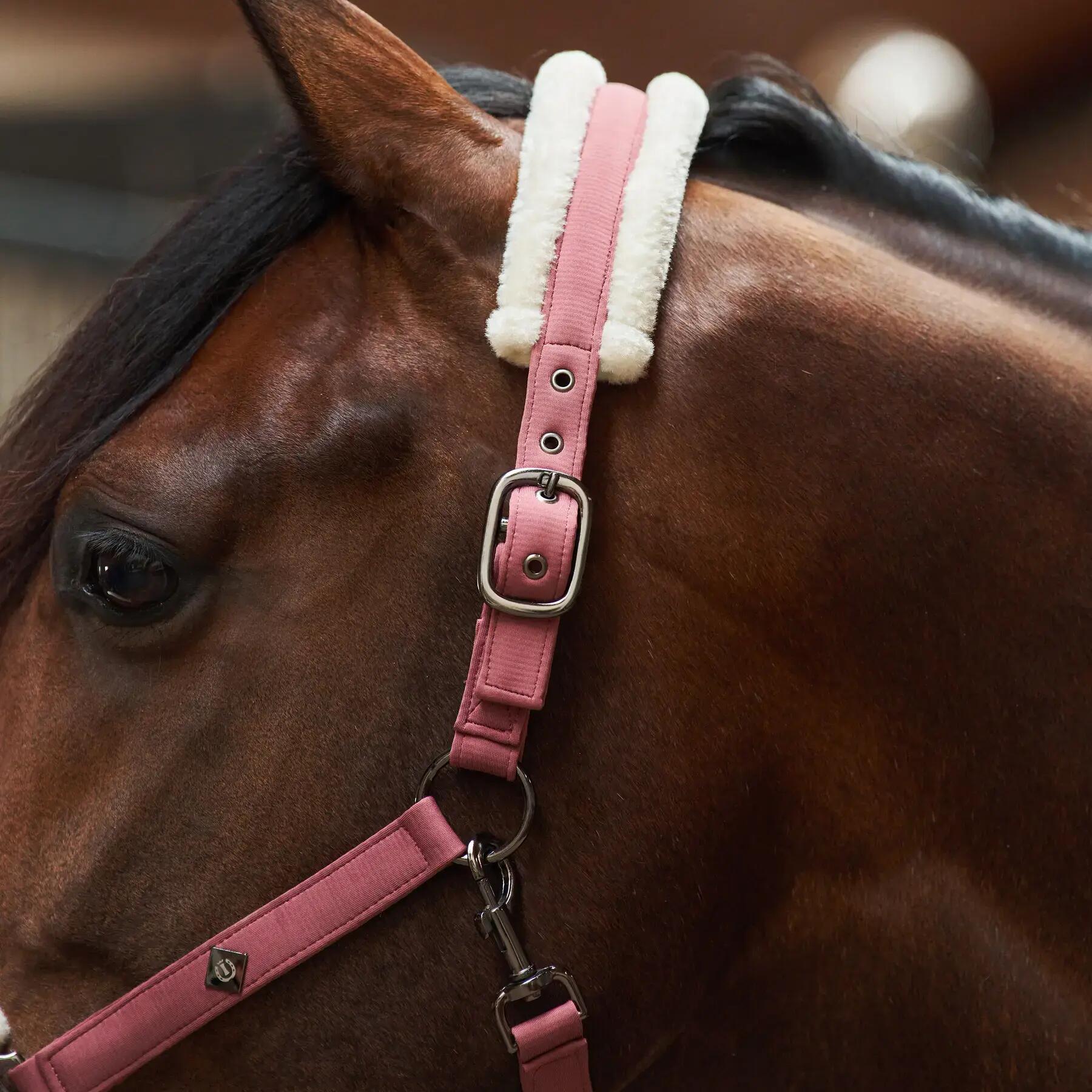 Imperial Riding Halster IRHJewel - Mauve (Pony) 3/4