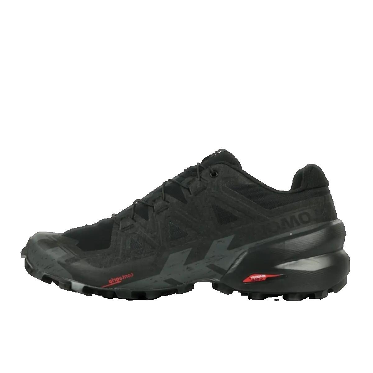 SALOMON picture