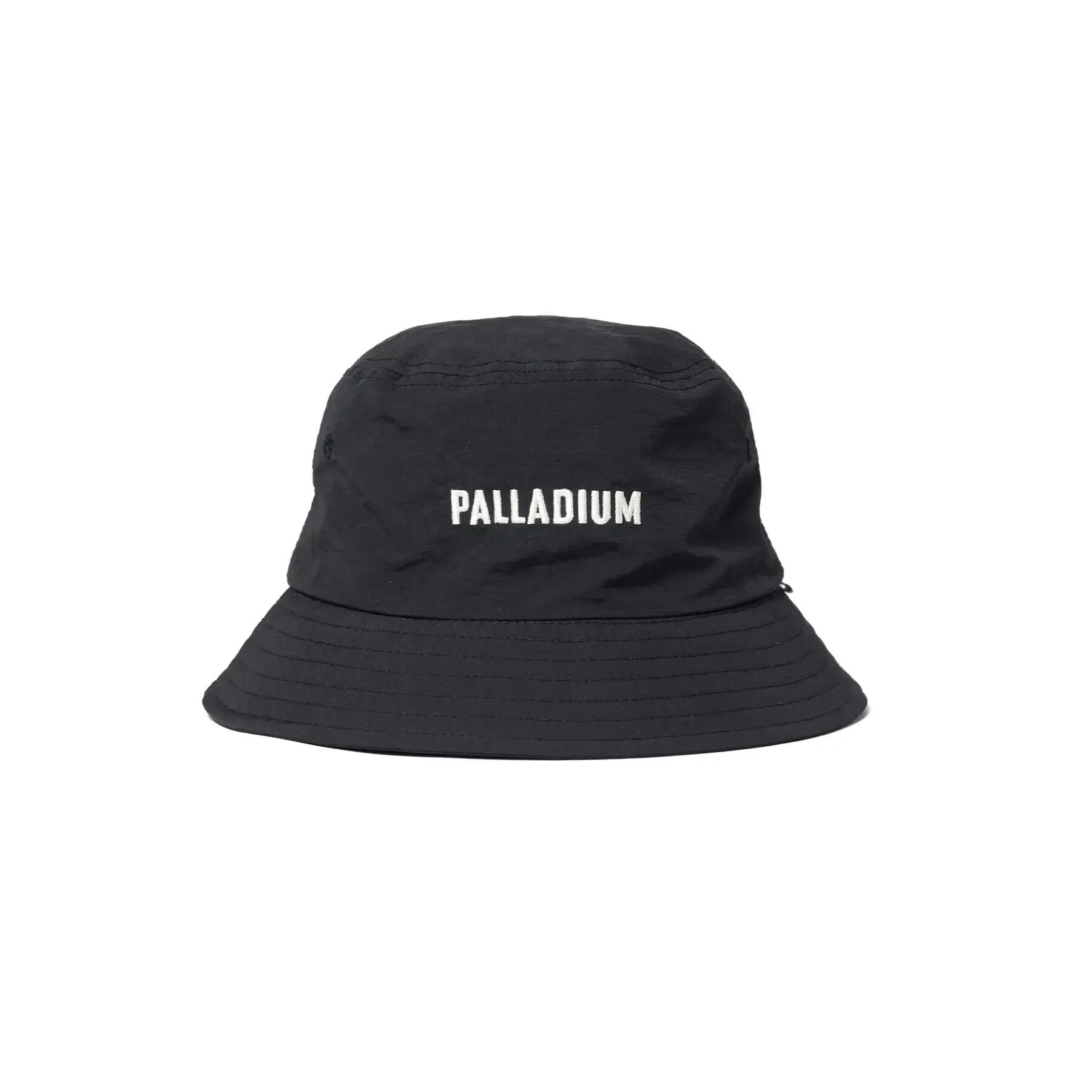 PALLADIUM picture