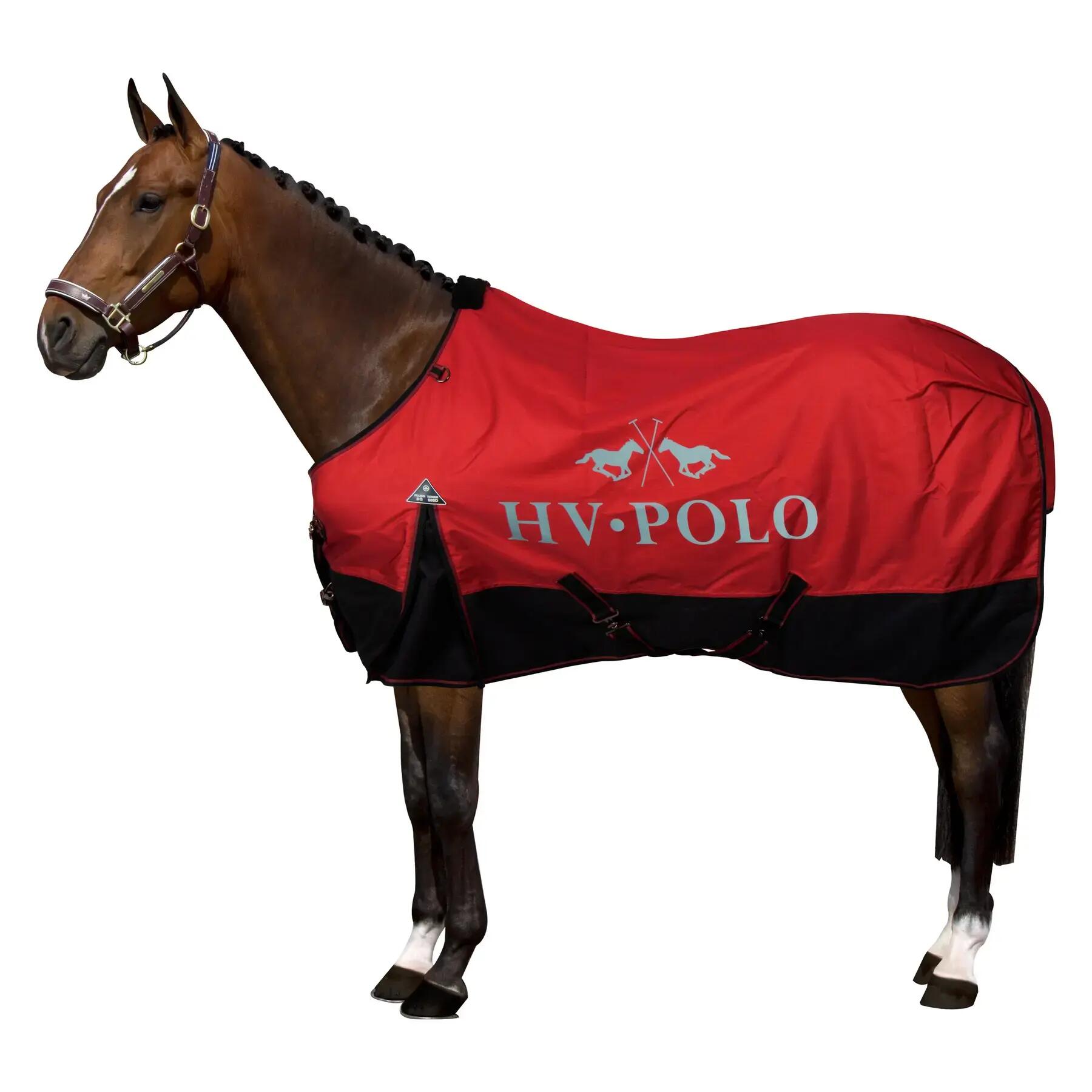 HV POLO picture