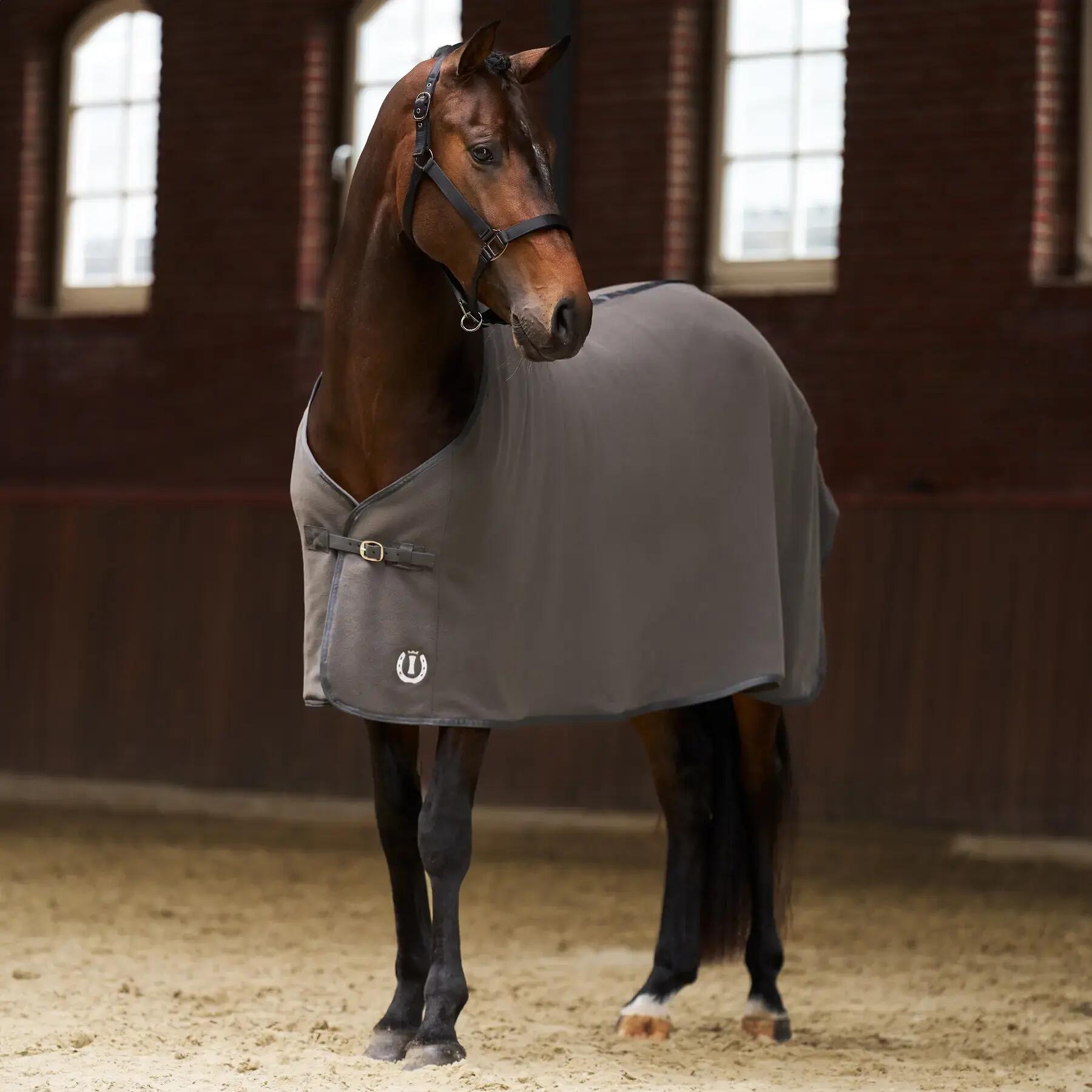 IMPERIAL RIDING picture