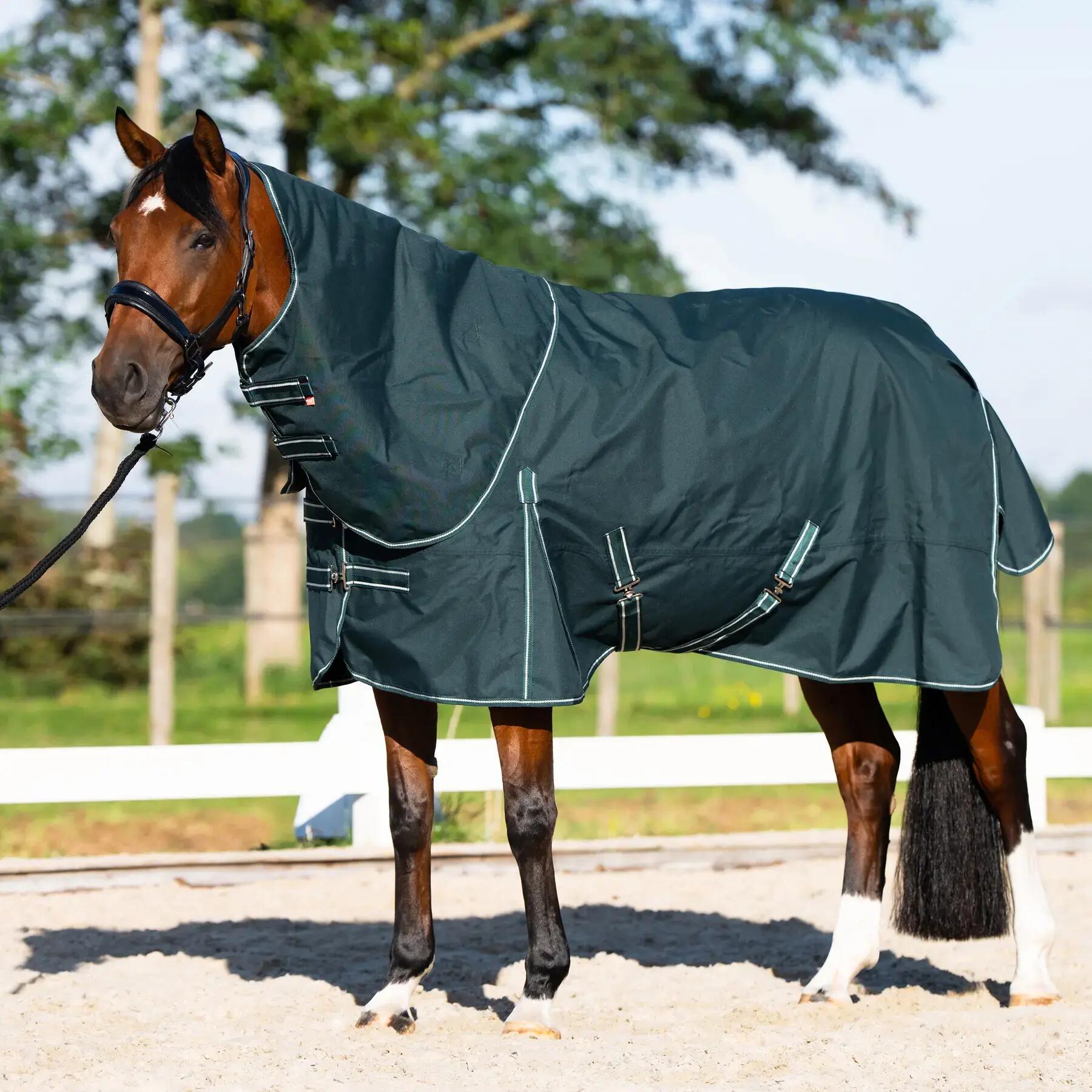 Coperta in pile per cavallo da esterno Imperial Riding Basic 5/6