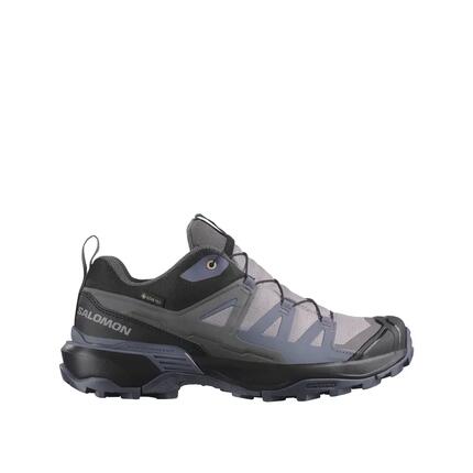 Wanderschuhe Salomon X Ultra 360 GTX Grau