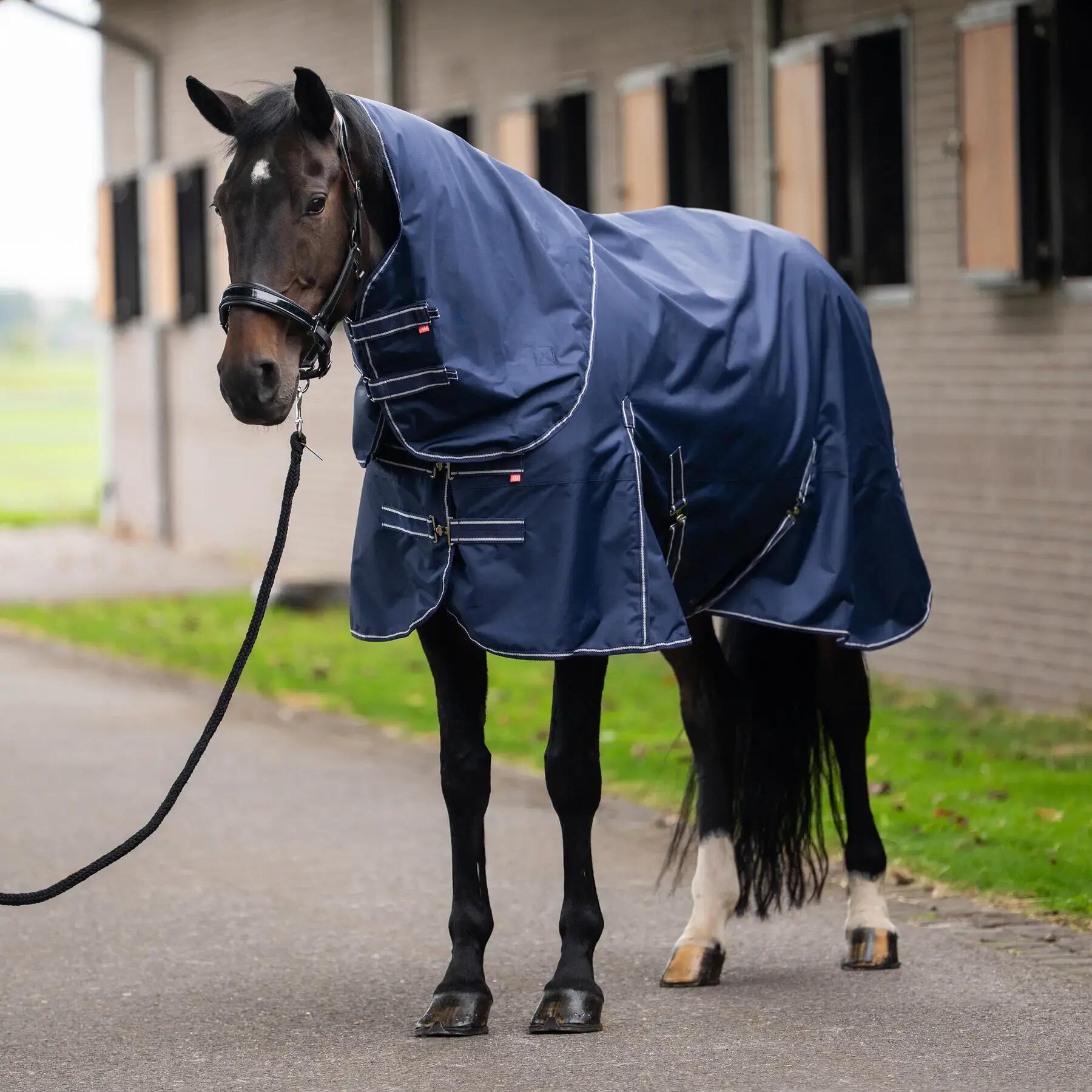 Coperta da esterno per cavallo con collarino rimovibile Imperial Riding Basic 20 3/4