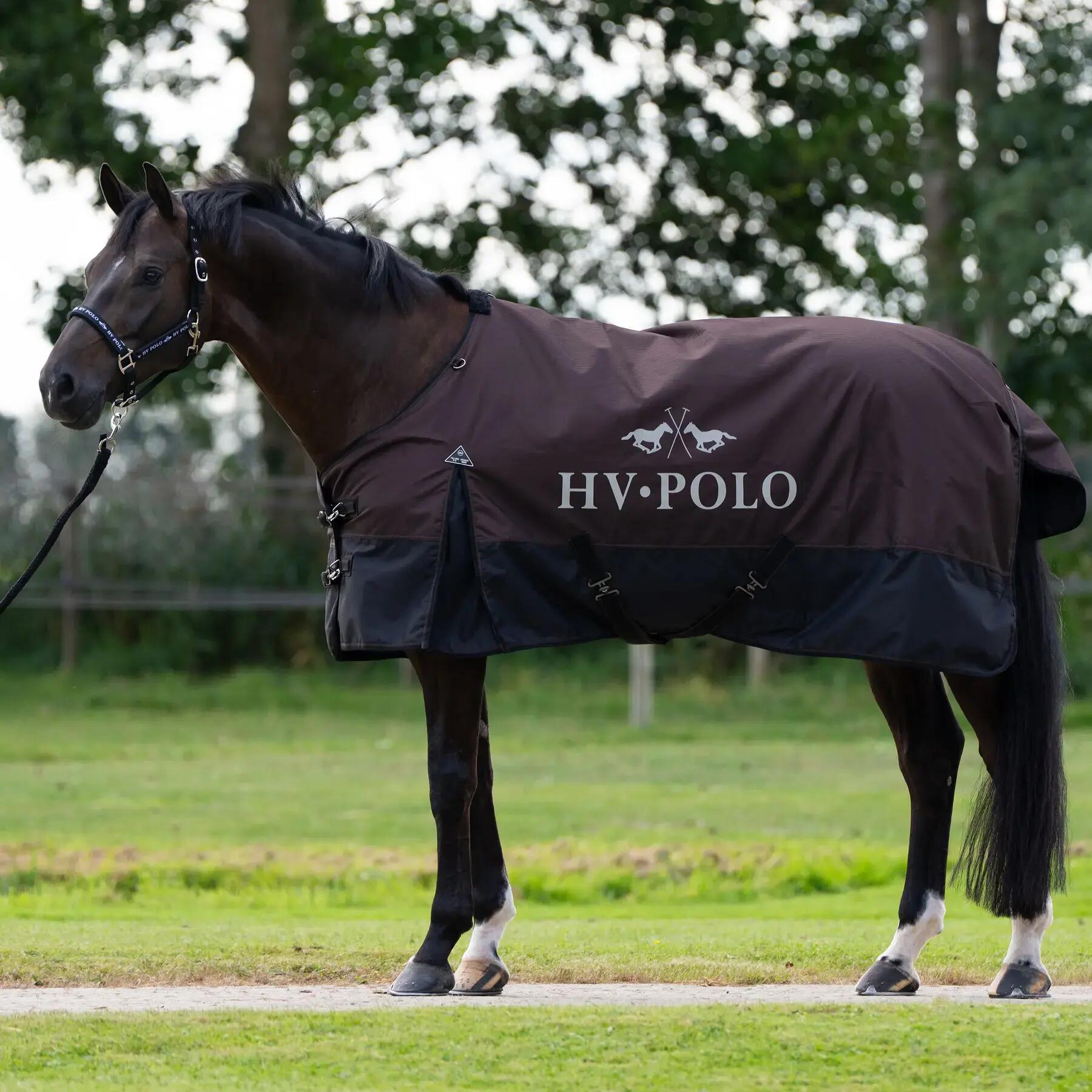 HV POLO picture