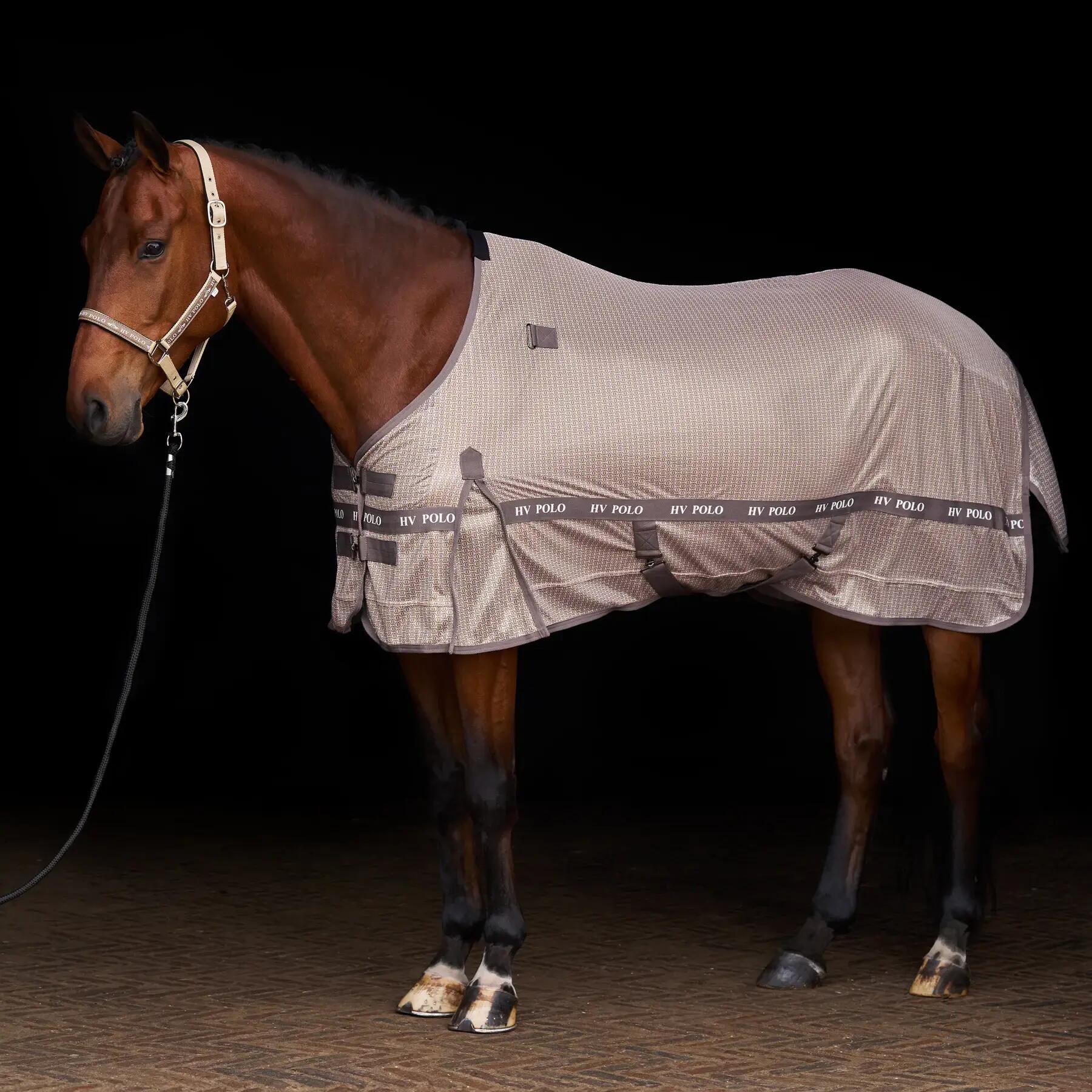 HV POLO picture