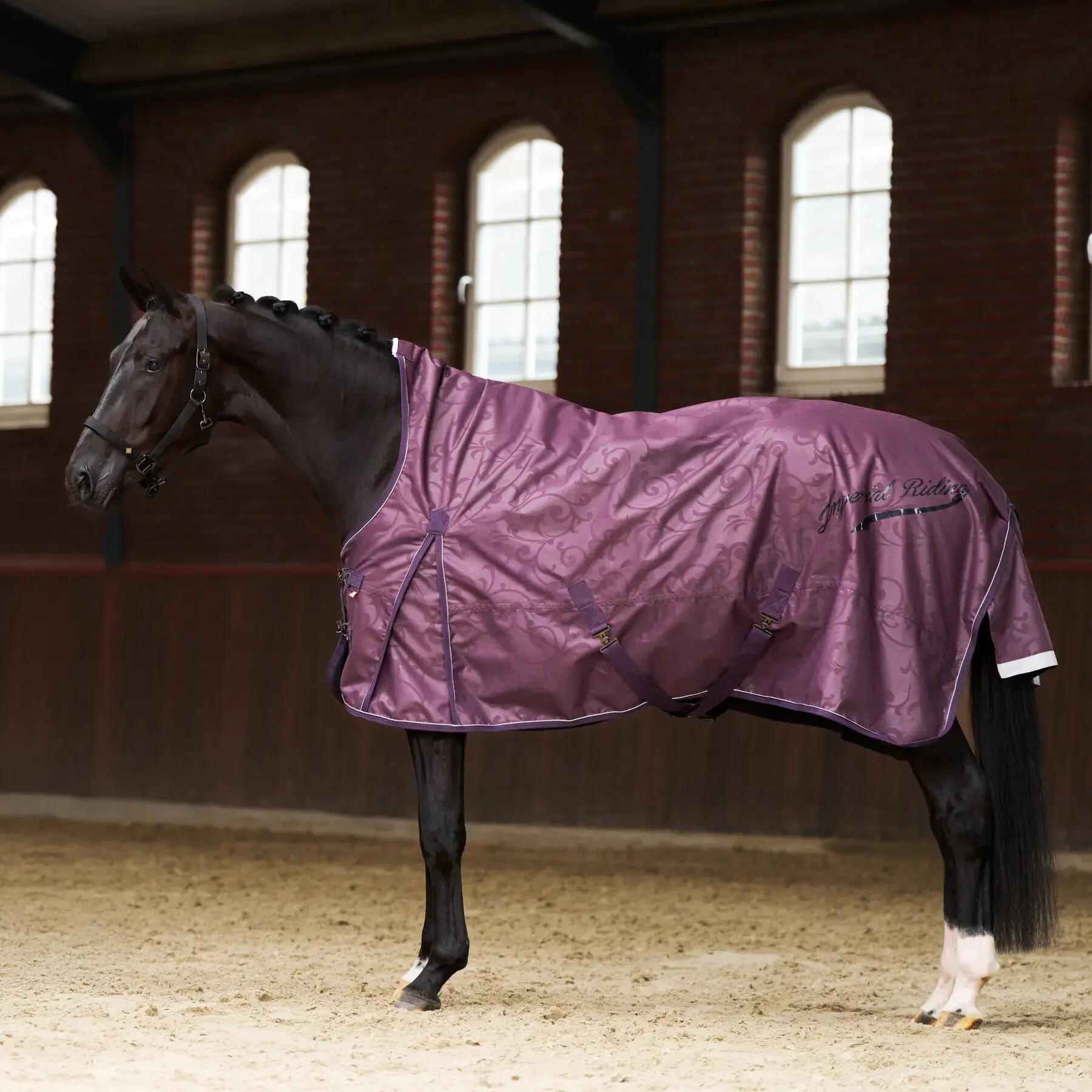 Coperta da paddock per cavalli Imperial Riding Super-dry 200 g 7/7