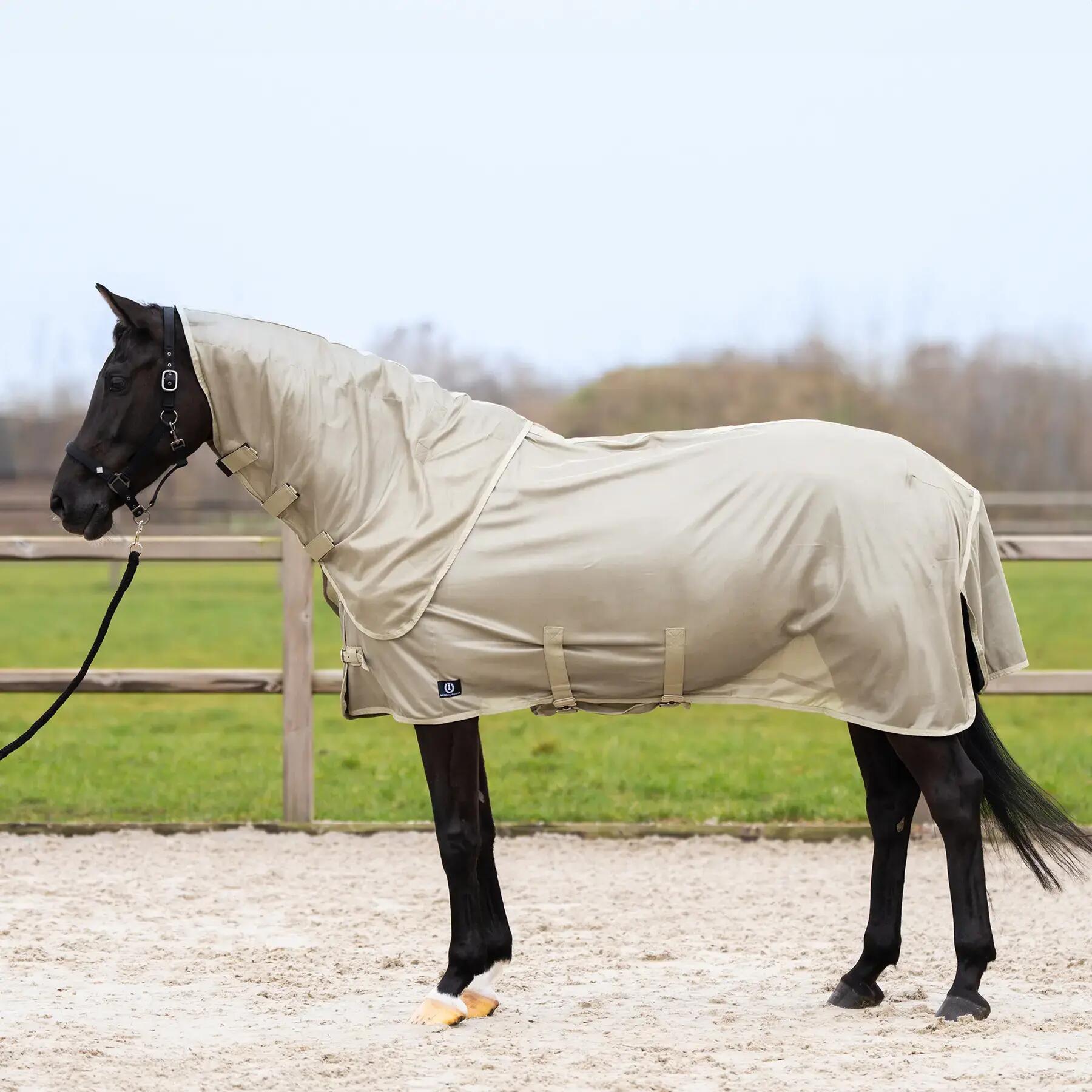 Coperta anti-mosche per cavalli Imperial Riding Reese 2/7