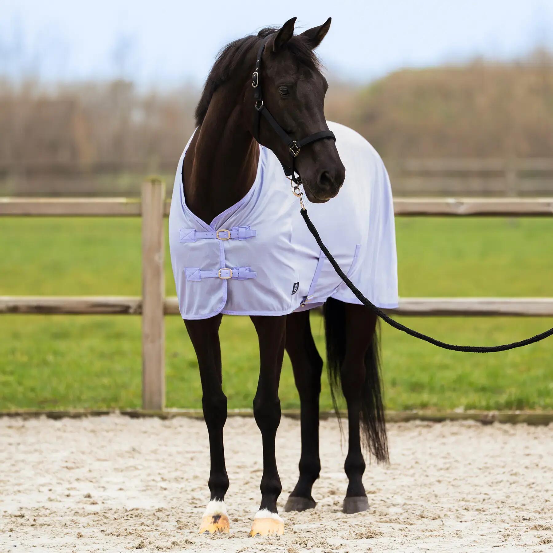 Coperta anti-mosche per cavalli Imperial Riding Reese 7/7