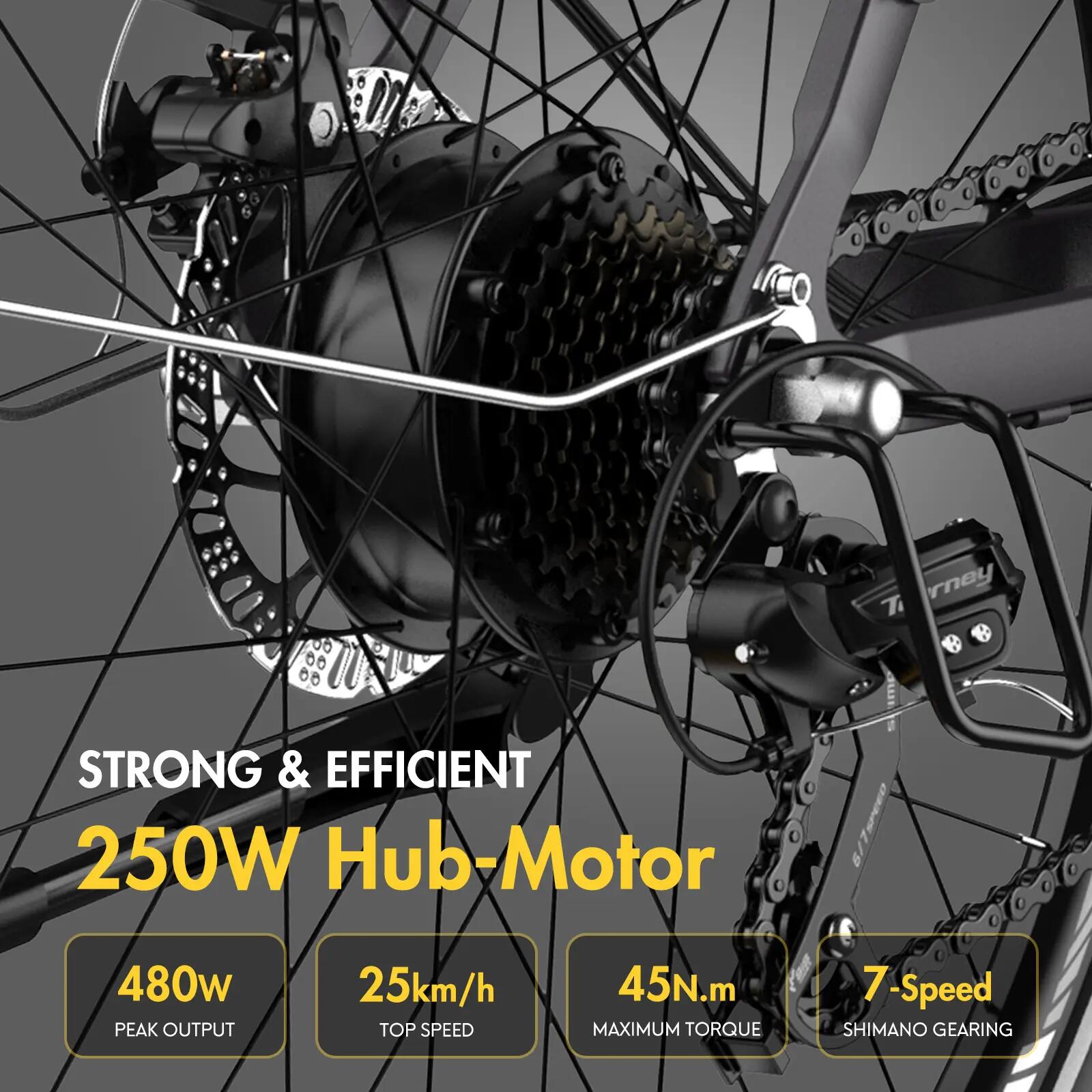 Mestský e-bicykel pre dospelých FAFREES F28 Pro 250W mechanické kotúčové brzdy 11/15