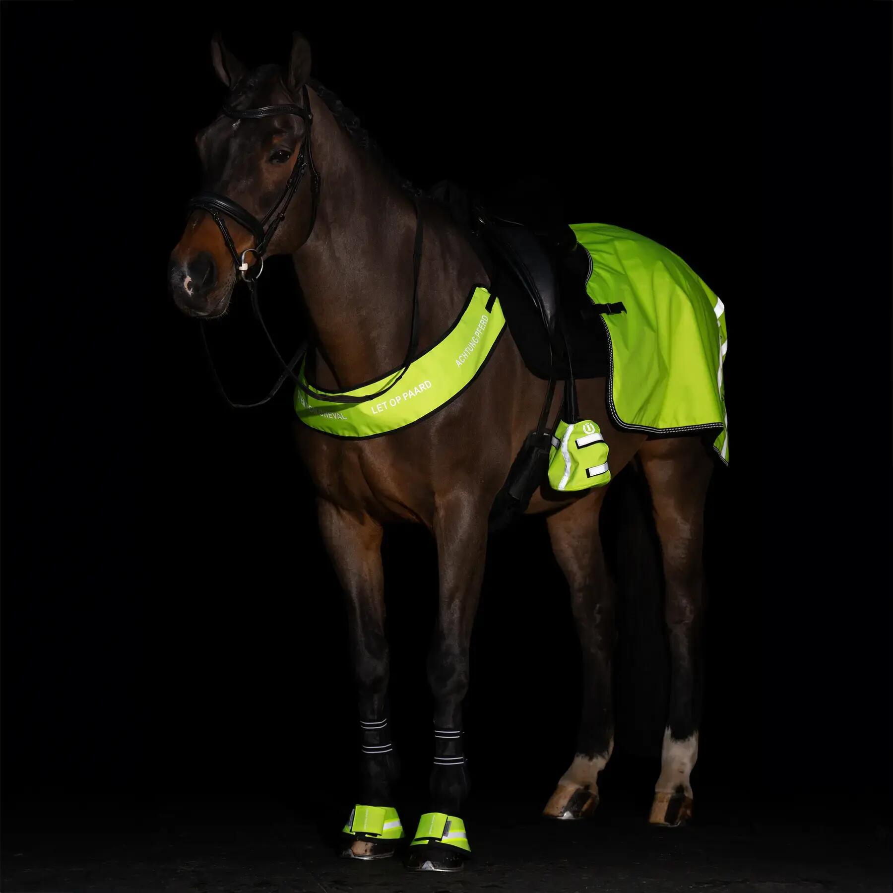 Accessoires voor stijgbeugels Imperial Riding Reflective (x2) 6/6