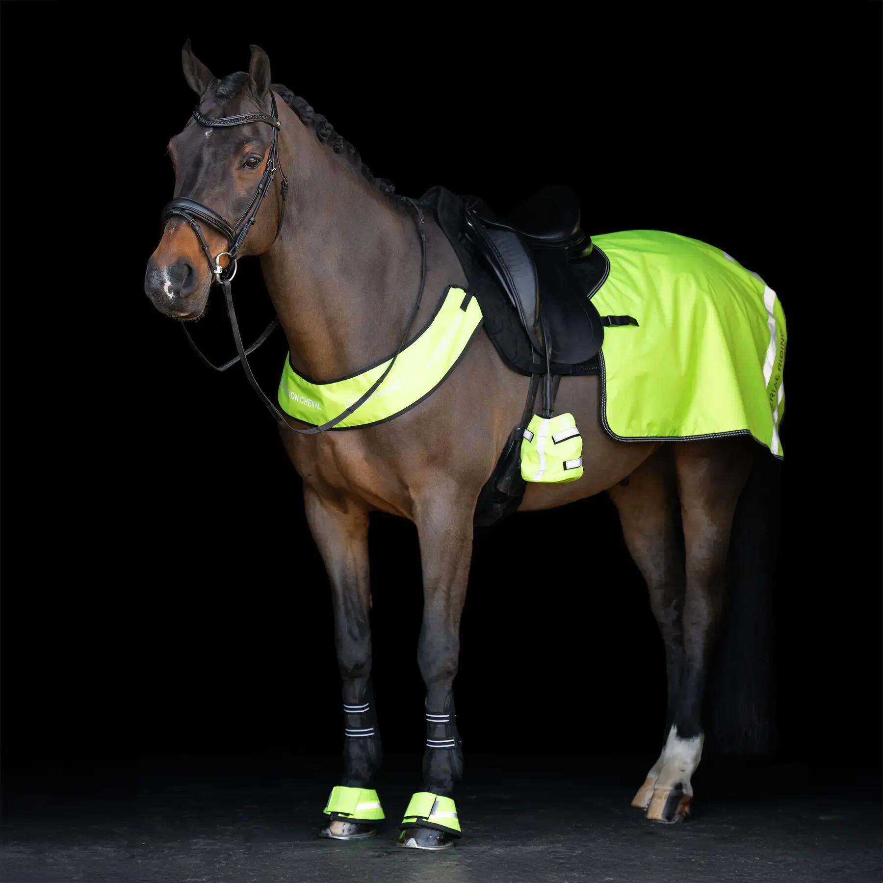 Accessoires voor stijgbeugels Imperial Riding Reflective (x2) 5/6