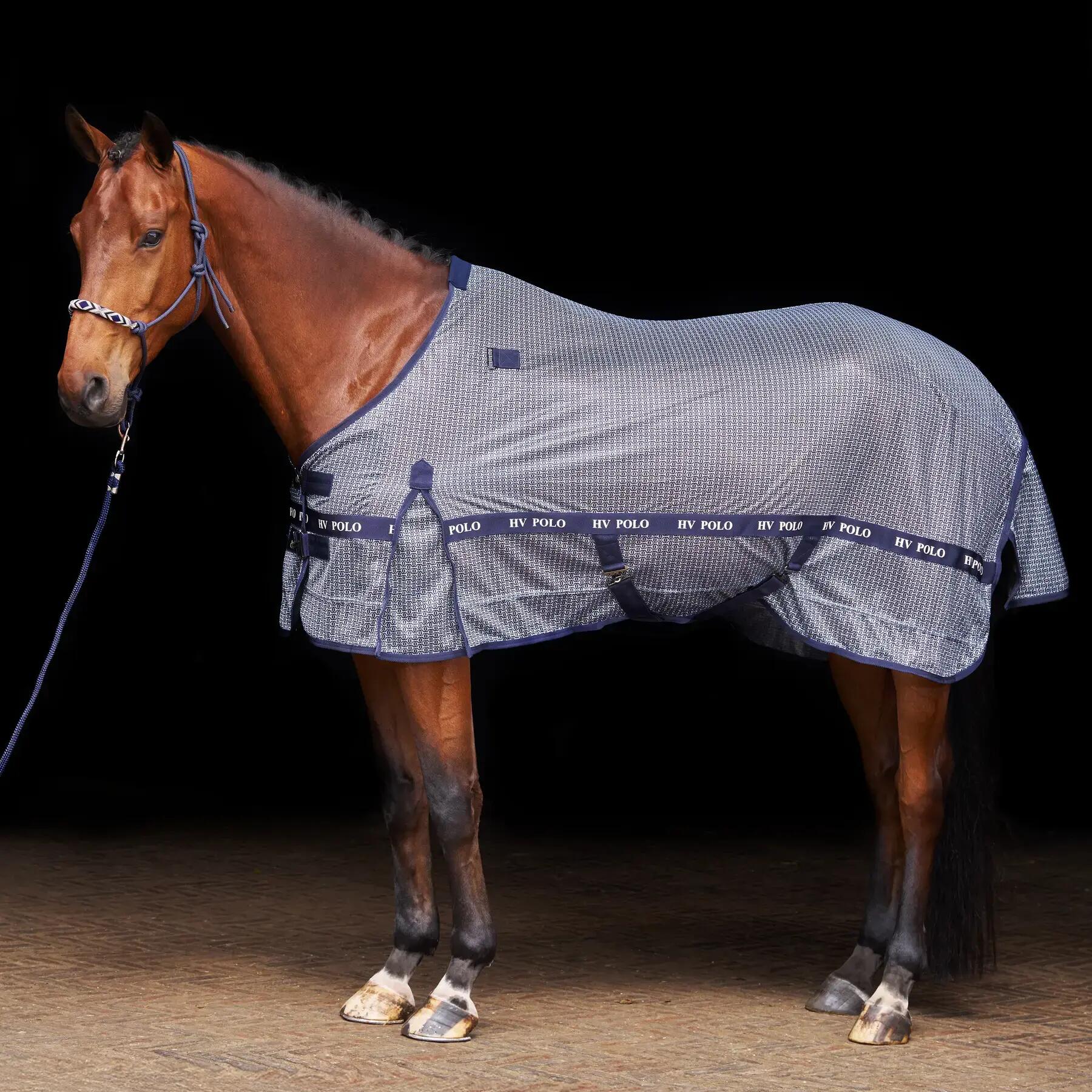 HV POLO picture