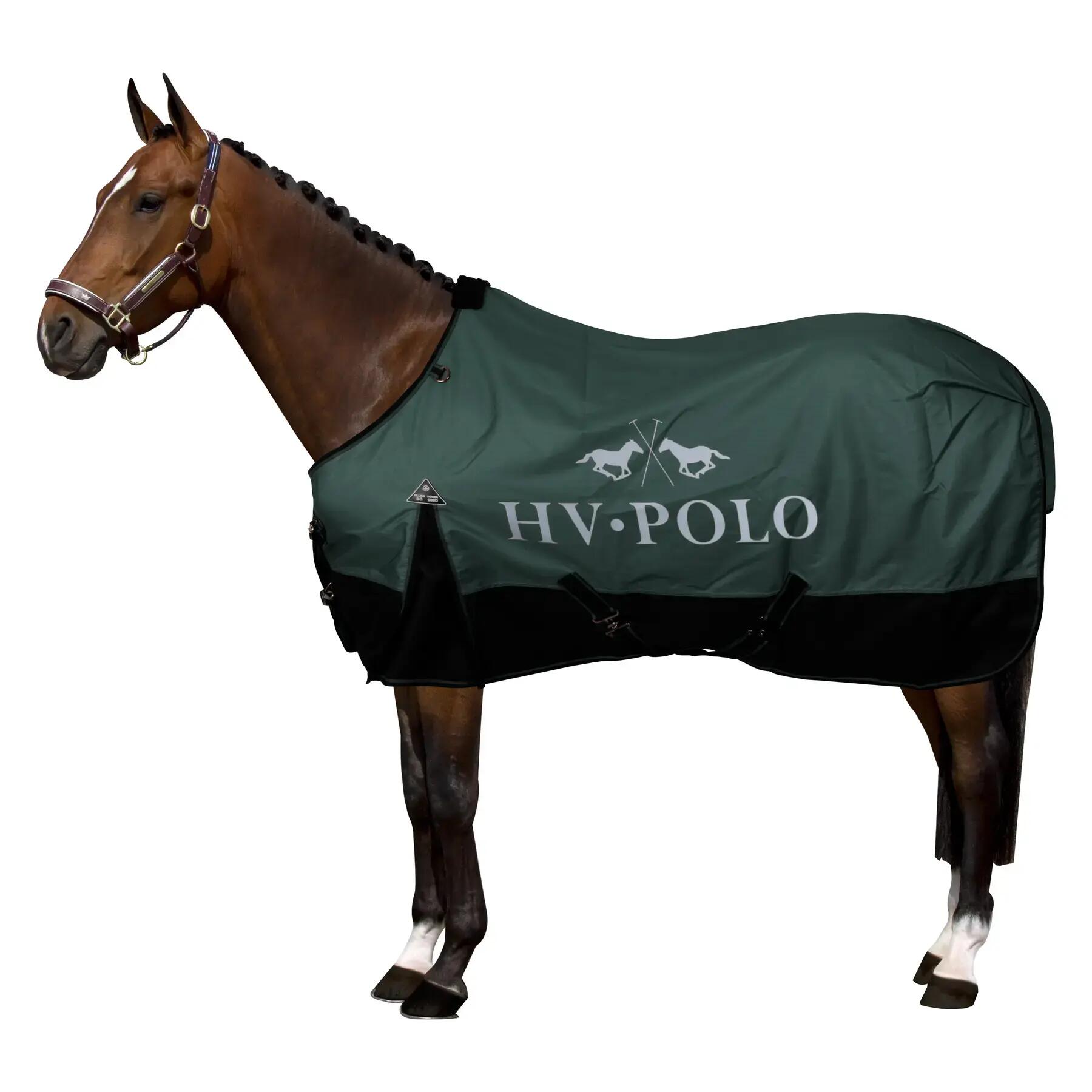HV POLO picture