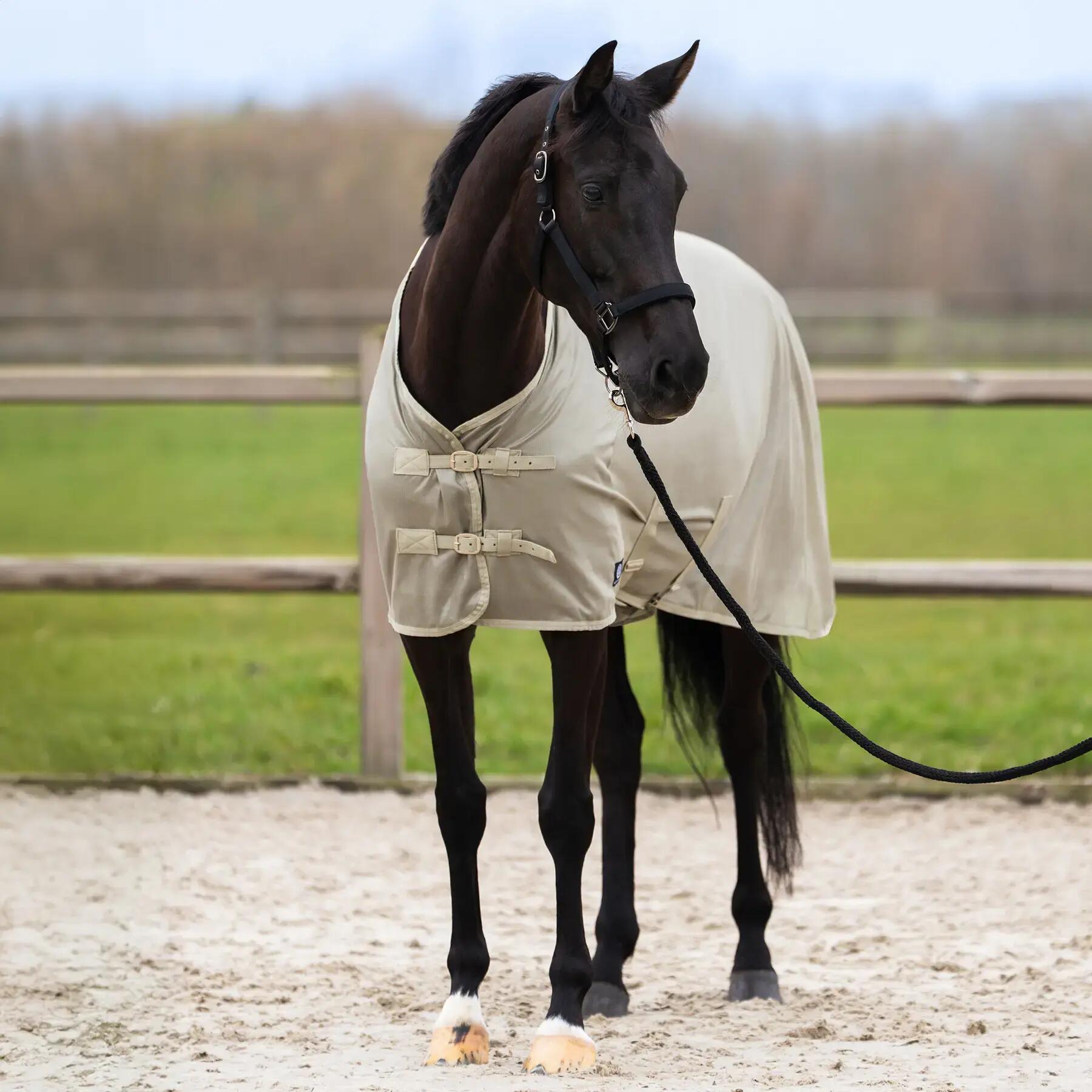 Coperta anti-mosche per cavalli Imperial Riding Reese 7/7