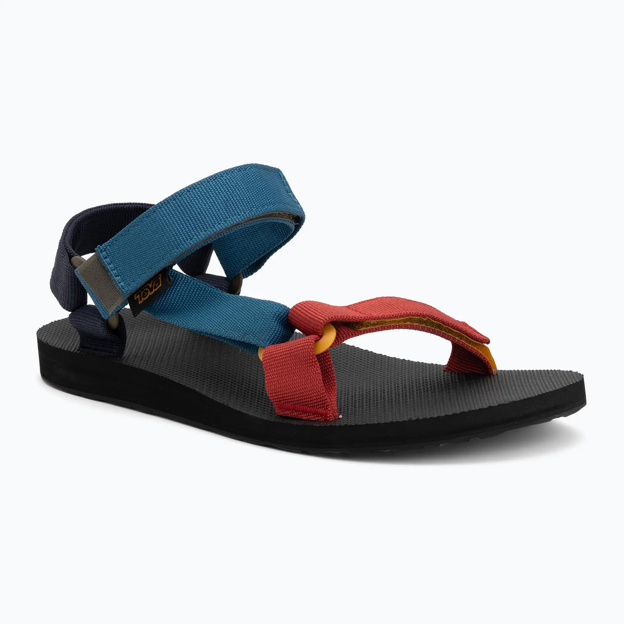 TEVA picture