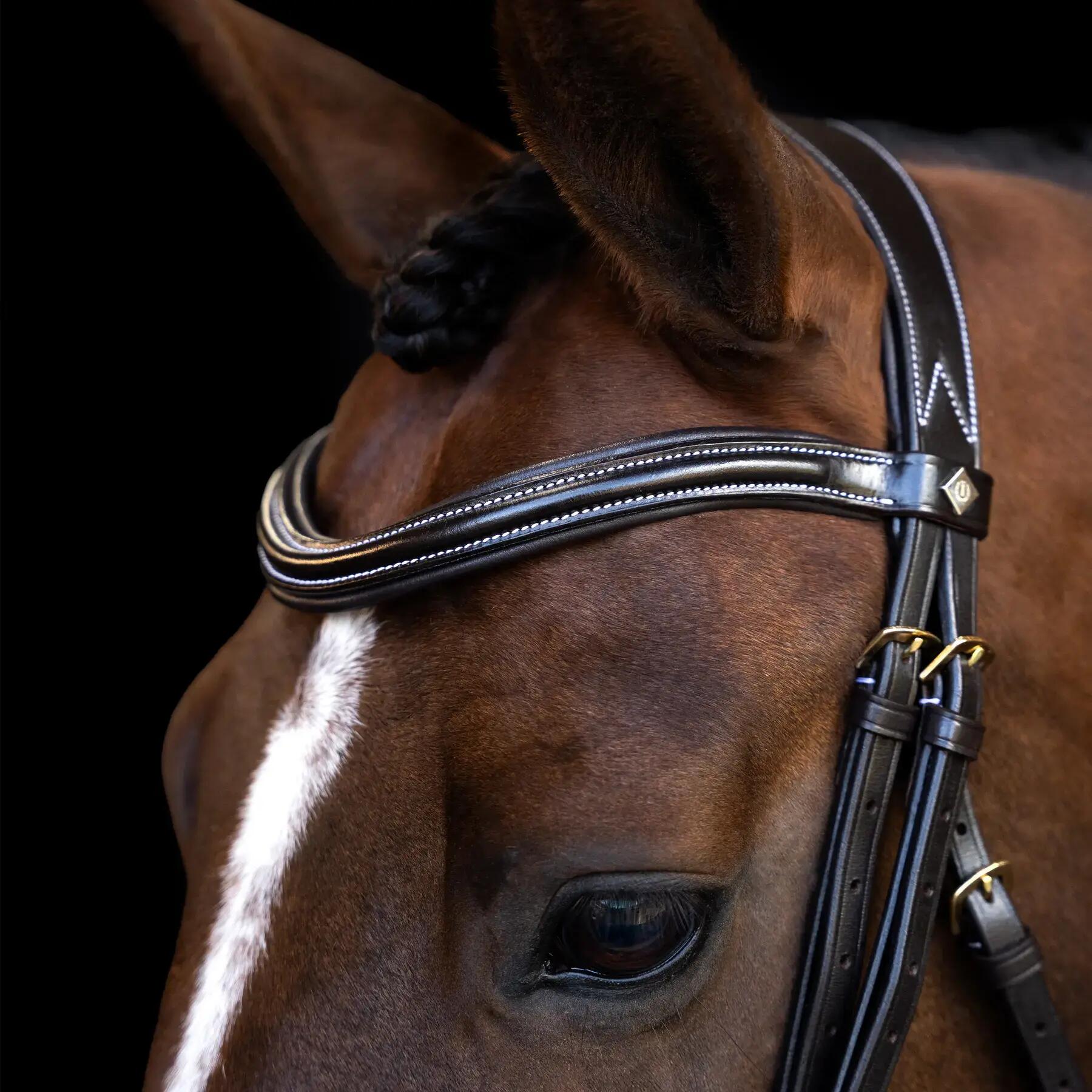Bride da equitazione con nasello inglese Imperial Riding 4/4
