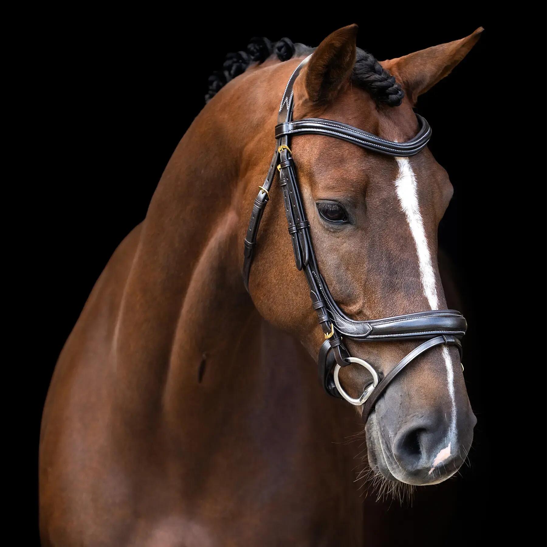 Bride da equitazione con nasello inglese Imperial Riding 3/4