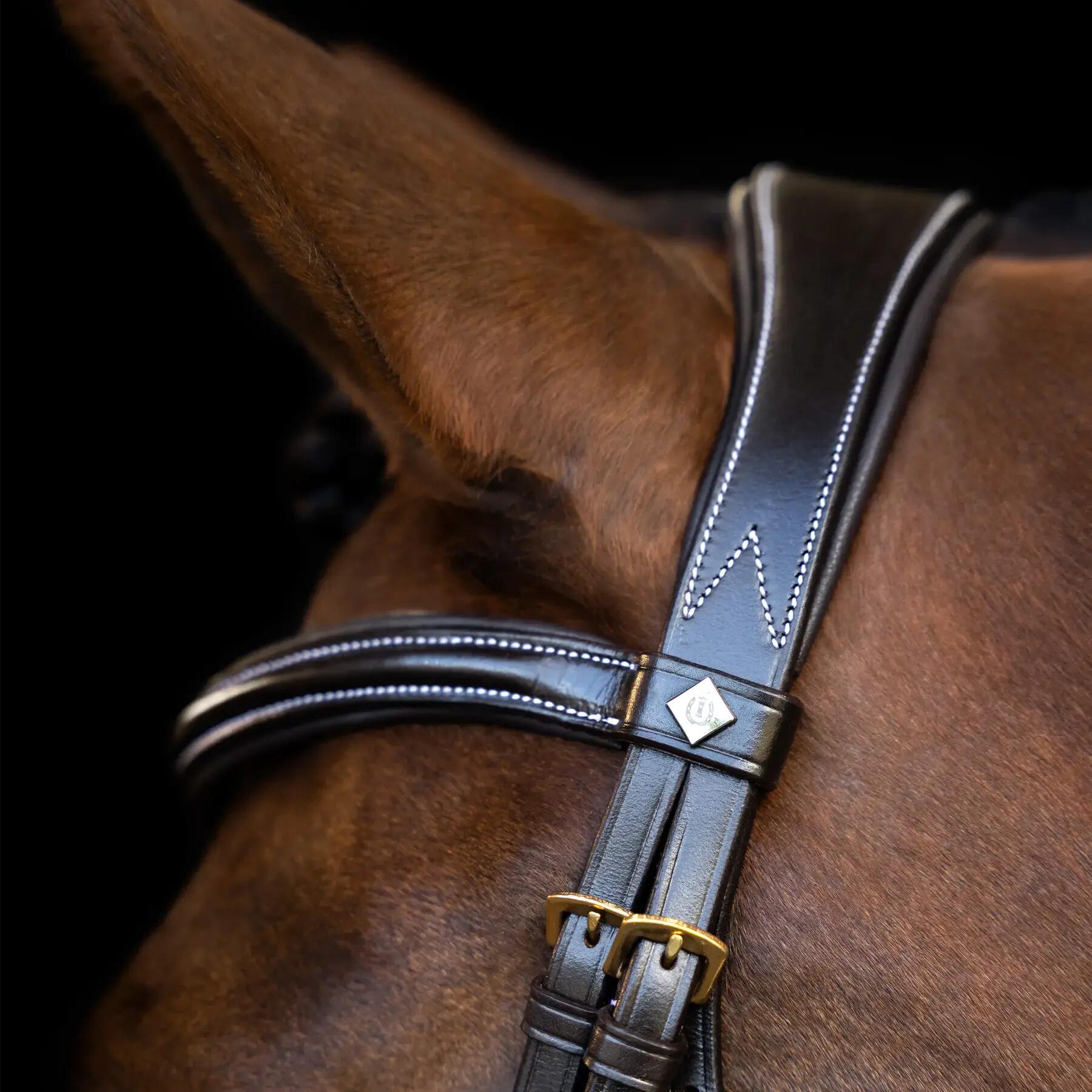 Bride da equitazione con nasello inglese Imperial Riding 2/4