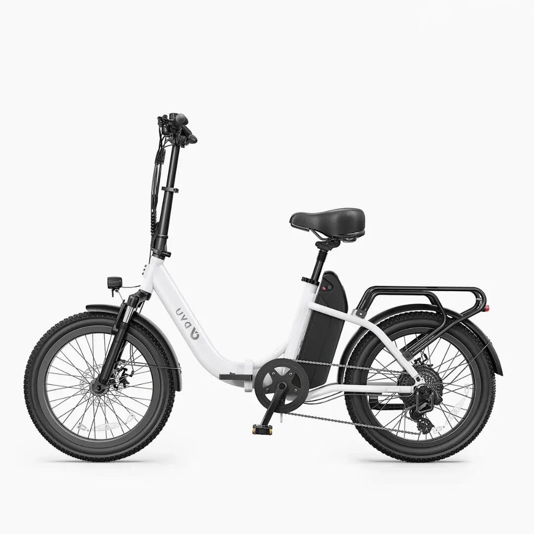 Skládací elektrické kolo DYU C9, motor 250 W, odnímatelná baterie 48 V 15,6 Ah 2/5