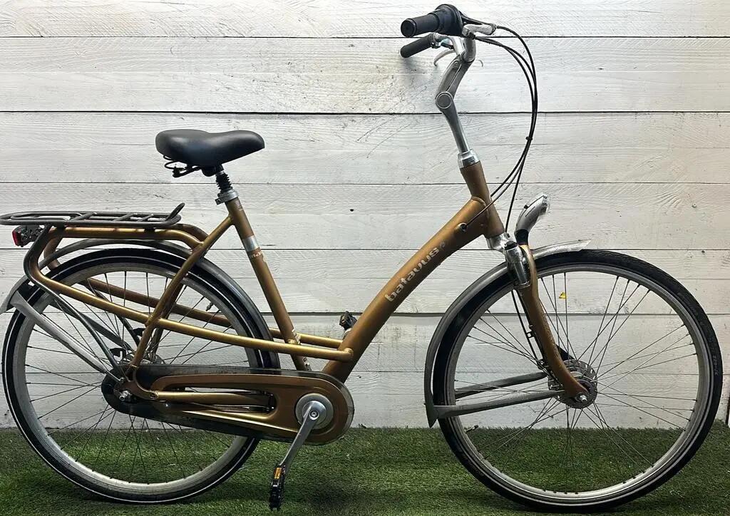 BATAVUS picture