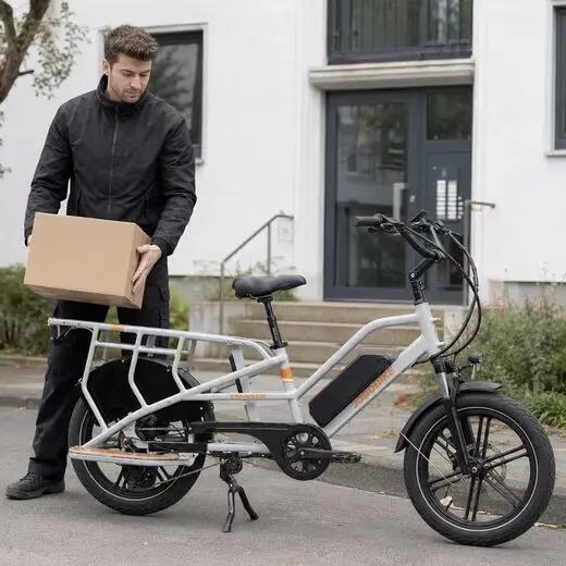 Elektrický nákladný bicykel JOBOBIKE Transer s batériou 48 V 15 Ah 6/6