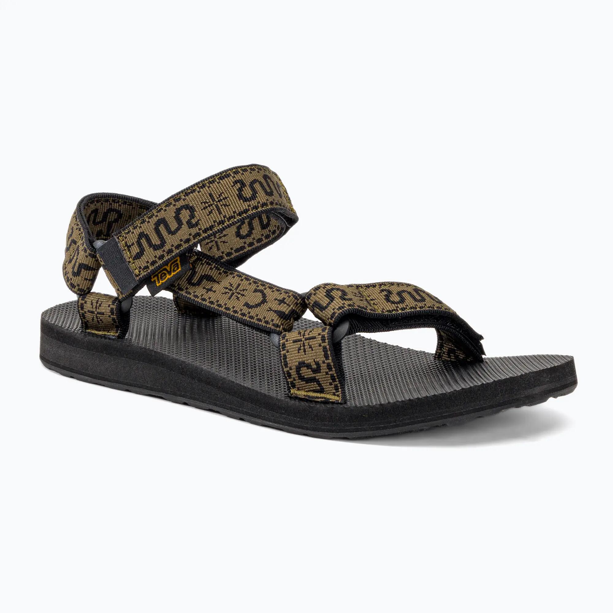 TEVA picture