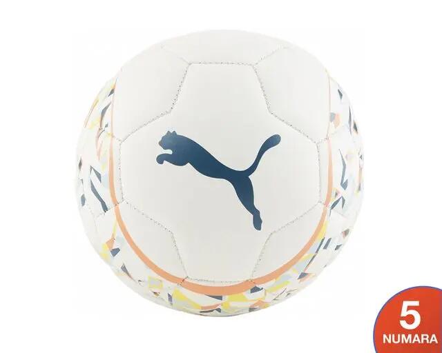 PUMA picture