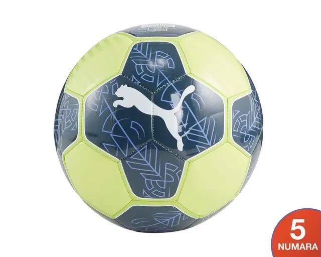 PUMA picture