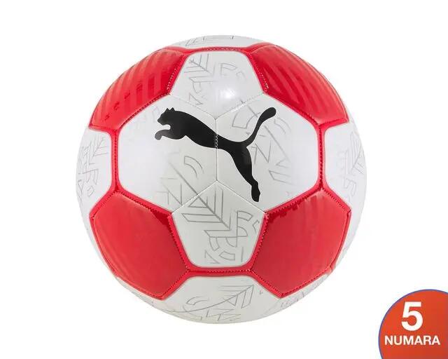 PUMA picture