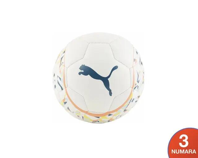 PUMA picture