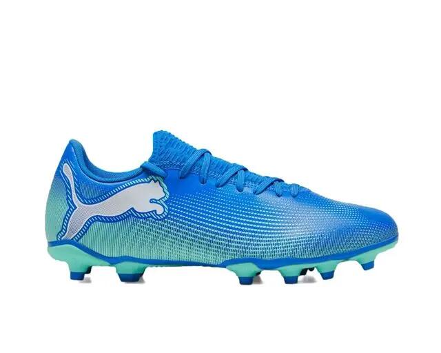 PUMA picture