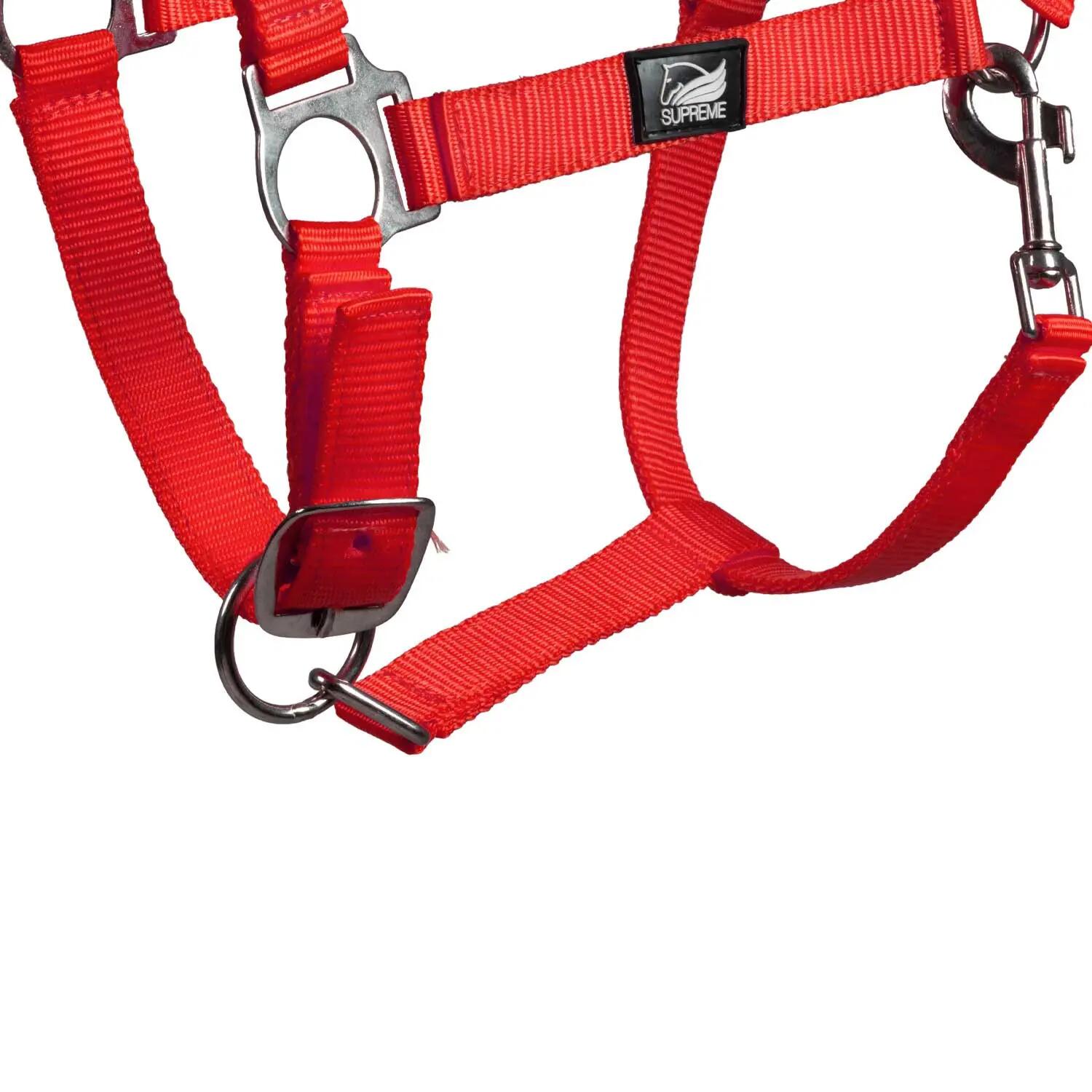 Cabezada de nailon con doble ajuste 4/4